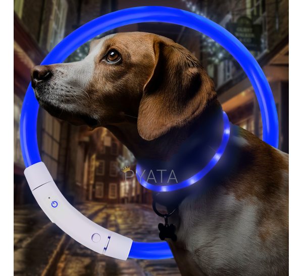 Світлодіодний світлий led нашийник з підсвічуванням для собак з USB зарядкою S-35см Синій