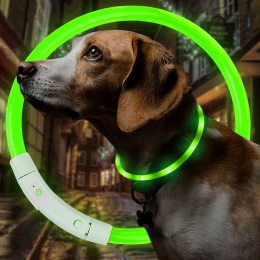 Светодиодный светящийся led ошейник с подсветкой для собак с USB зарядкой S-35см Зеленый (205)