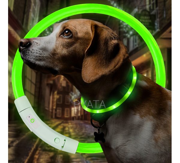 Світлодіодний світлий led нашийник з підсвічуванням для собак з USB зарядкою S-35см Зелений (205)