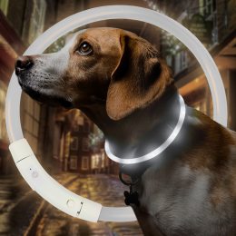 Светодиодный светящийся led ошейник с подсветкой для собак с USB зарядкой S-35см Белый (205)
