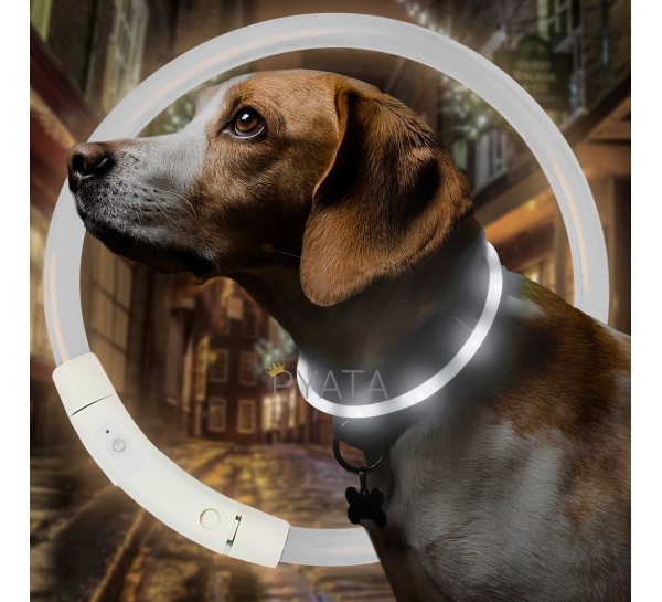 Світлодіодний світлий led нашийник з підсвічуванням для собак з USB зарядкою S-35см Білий (205)