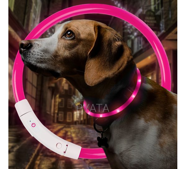 Світлодіодний світлий led нашийник з підсвічуванням для собак з USB зарядкою S-35см Рожевий (205)