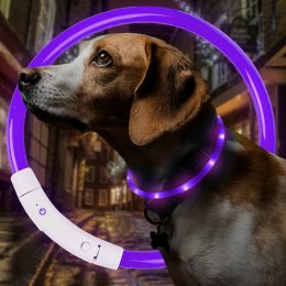 Светодиодный светящийся led ошейник с подсветкой для собак с USB зарядкой S-35см Фиолетовый (205)