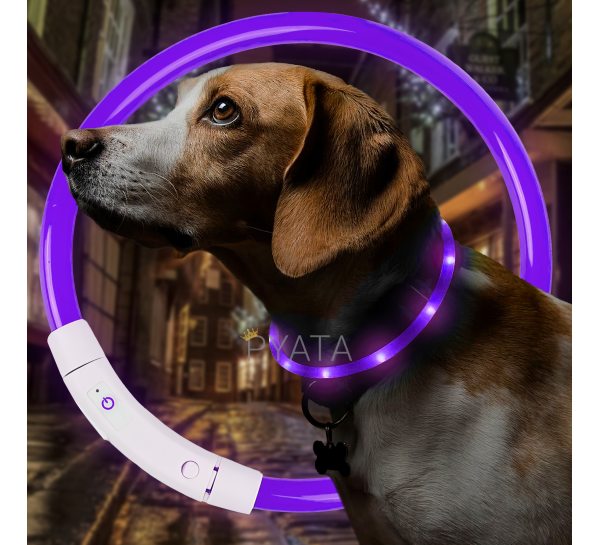 Світлодіодний світлий led нашийник з підсвічуванням для собак з USB зарядкою S-35см Фіолетовий (205)