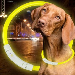 Светодиодный светящийся led ошейник с подсветкой для собак с USB зарядкой M-50см Желтый (205)