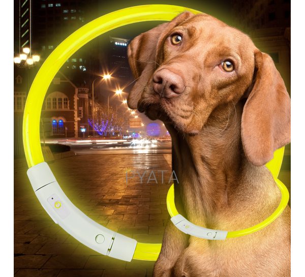 Світлодіодний світлий led нашийник з підсвічуванням для собак з USB зарядкою M-50см Жовтий (205)