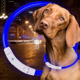 Светодиодный светящийся led ошейник с подсветкой для собак с USB зарядкой M-50см Синий (205)