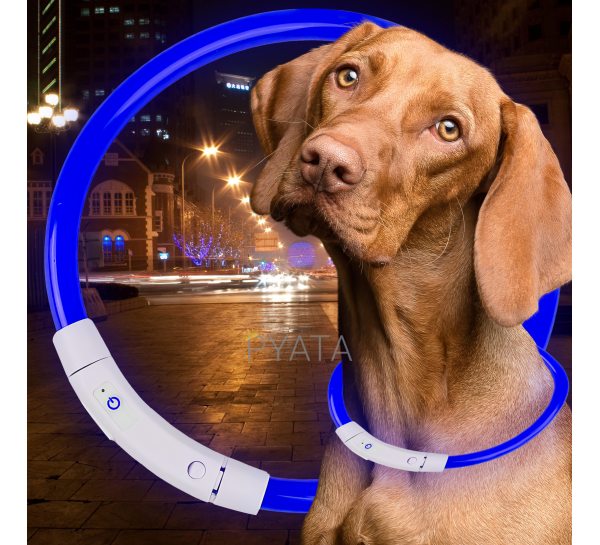 Світлодіодний світлий led нашийник з підсвічуванням для собак з USB зарядкою M-50см Синій (205)