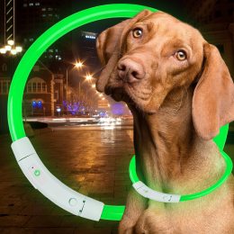 Светодиодный светящийся led ошейник с подсветкой для собак с USB зарядкой M-50см Зеленый (205)