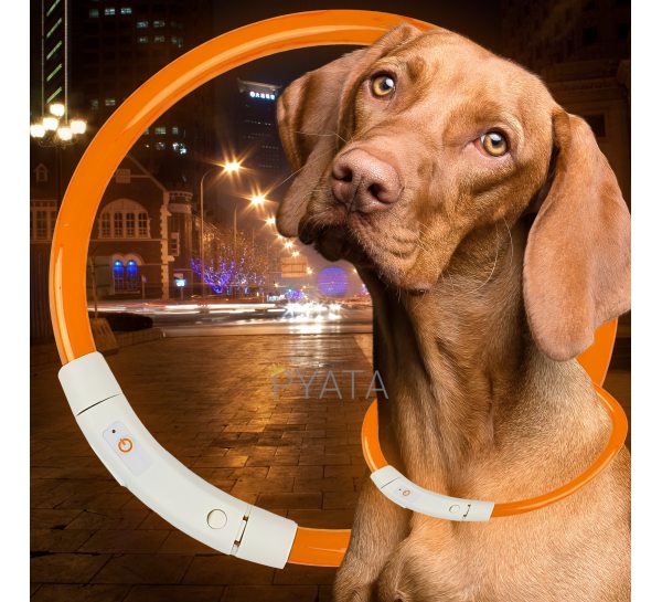 Світлодіодний світлий led нашийник з підсвічуванням для собак з USB зарядкою M-50см Помаранчевий (205)