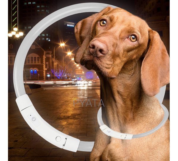 Світлодіодний світлий led нашийник з підсвічуванням для собак з USB зарядкою M-50см Білий (205)