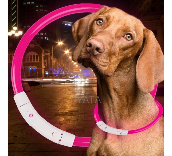 Світлодіодний світлий led нашийник з підсвічуванням для собак з USB зарядкою M-50см Рожевий (205)