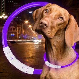 Светодиодный светящийся led ошейник с подсветкой для собак с USB зарядкой M-50см Фиолетовый (205)