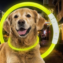 Светодиодный светящийся led ошейник с подсветкой для собак с USB зарядкой L-70см Желтый (205)
