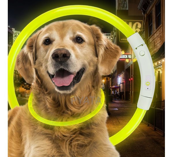 Світлодіодний світлий led нашийник з підсвічуванням для собак з USB зарядкою L-70см Жовтий (205)