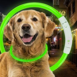Светодиодный светящийся led ошейник с подсветкой для собак с USB зарядкой L-70см Зеленый (205)