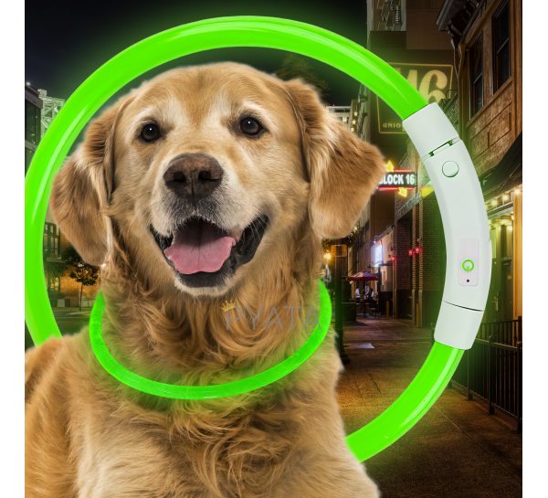 Світлодіодний світлий led нашийник з підсвічуванням для собак з USB зарядкою L-70см Зелений (205)