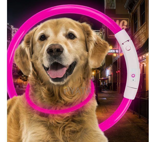 Світлодіодний світлий led нашийник з підсвічуванням для собак з USB зарядкою L-70см Рожевий (205)