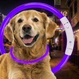 Світлодіодний світлий led нашийник з підсвічуванням для собак з USB зарядкою L-70см ФІолетовий (205)