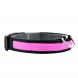 Светящийся Led ошейник для собак с usb зарядкой USB GLOW RING Розовый S (205)