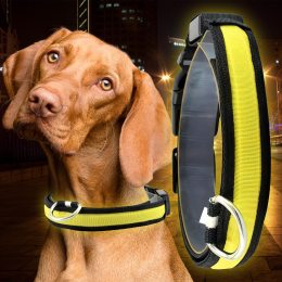 Светящийся Led ошейник для собак с usb зарядкой USB GLOW RING Желтый М (205)