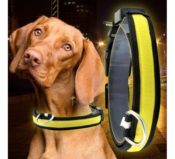 Светящийся Led ошейник для собак с usb зарядкой USB GLOW RING Желтый М (205)