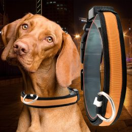 Светящийся Led ошейник для собак с usb зарядкой USB GLOW RING Оранжевый М (205)