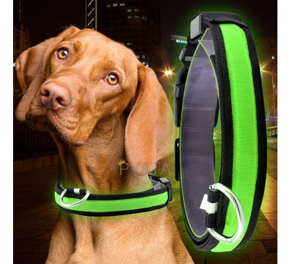 Led нашийник для собак, що світиться з USB зарядкою USB GLOW RING Салатовий M (205)