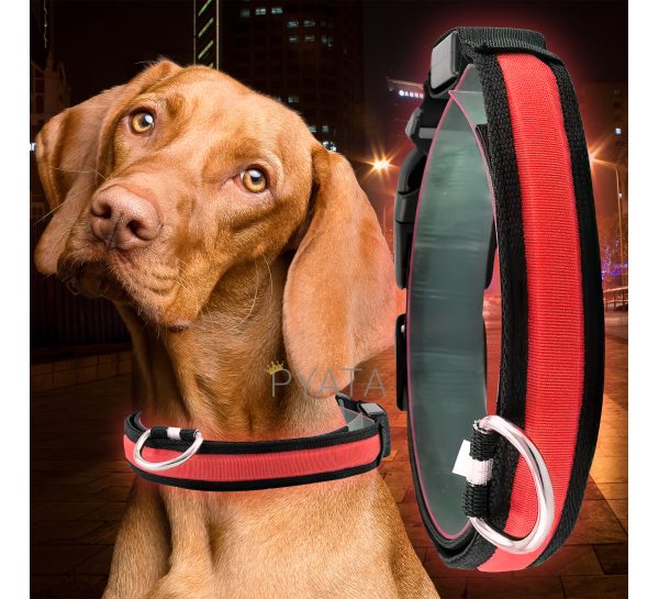 Led нашийник для собак, що світиться з USB зарядкою USB GLOW RING Червоний M (205)