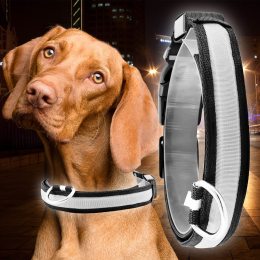 Светящийся Led ошейник для собак с usb зарядкой USB GLOW RING Белый М (205)