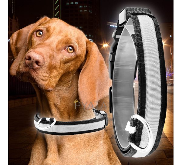 Светящийся Led ошейник для собак с usb зарядкой USB GLOW RING Белый М (205)