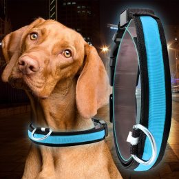Светящийся Led ошейник для собак с usb зарядкой USB GLOW RING Голубой М (205)