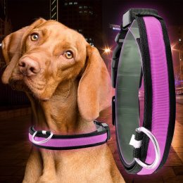 Светящийся Led ошейник для собак с usb зарядкой USB GLOW RING Розовый М (205)