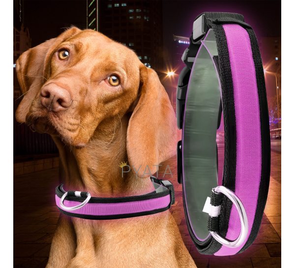 Светящийся Led ошейник для собак с usb зарядкой USB GLOW RING Розовый М (205)