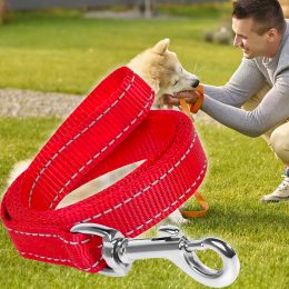Капроновий повідець для собак з карабіном для нашийника 3м Червоний (2021)