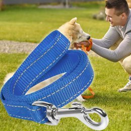 Капроновий повідець для собак з карабіном для нашийника 3м Синій (2021)