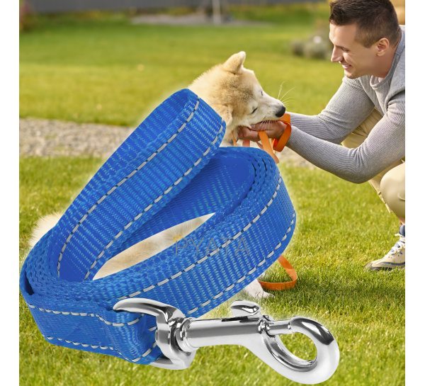 Капроновый поводок для собак с карабином для ошейника 3м Синий (2021)