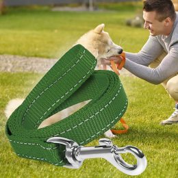 Капроновий повідець для собак з карабіном для нашийника 3м Зелений (2021)