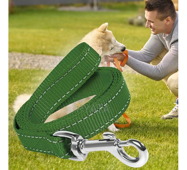 Капроновый поводок для собак с карабином для ошейника 3м Зеленый (2021)