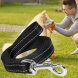 Капроновий повідець для собак з карабіном для нашийника 3м Чорний (2021)