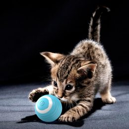 Інтерактивна іграшка м'ячик для котів Pet Gravity/MAG-687/219