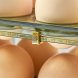 Прозорий лоток контейнер-органайзер для яєць у холодильник 30 відділень Зелений (WAN/205)