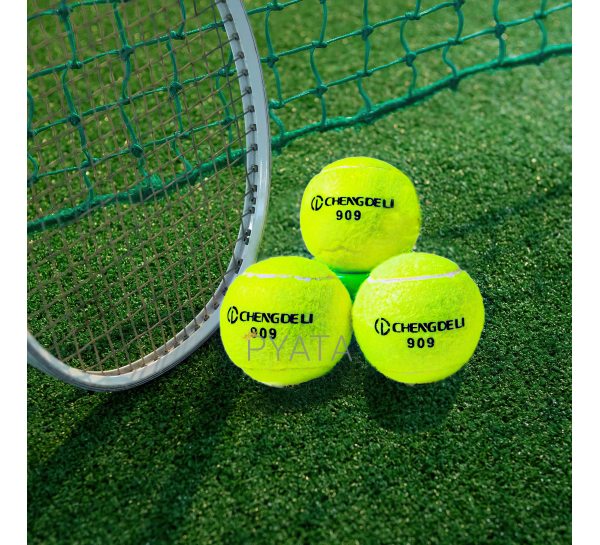 Мячи для Большого Тенниса 909 (3 шт.)/SD