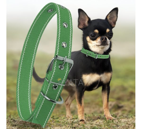 Капроновий одинарний нашийник для собак №126 20мм довжина-36 см Зелений (2021)