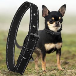 Капроновый одинарный ошейник для собак №126 20мм длина-36 см Черный (2021)