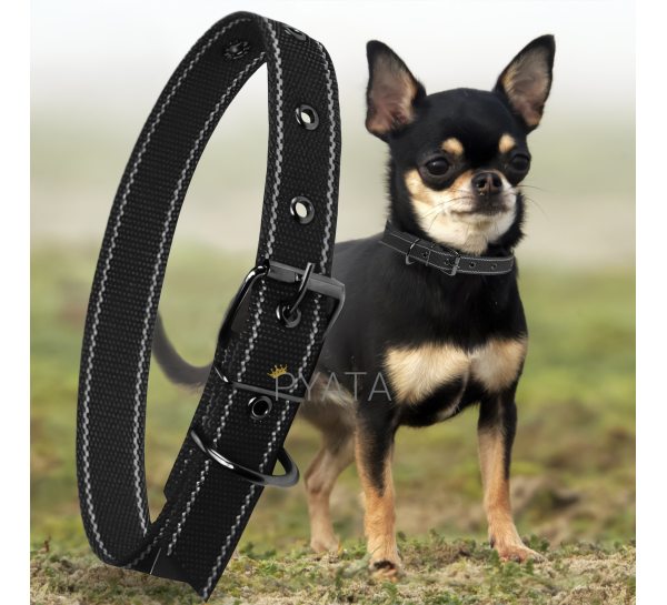 Капроновий одинарний нашийник для собак №126 20мм довжина-36 см Чорний (2021)