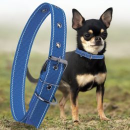 Капроновый одинарный ошейник для собак №126 20мм длина-36 см Синий (2021)