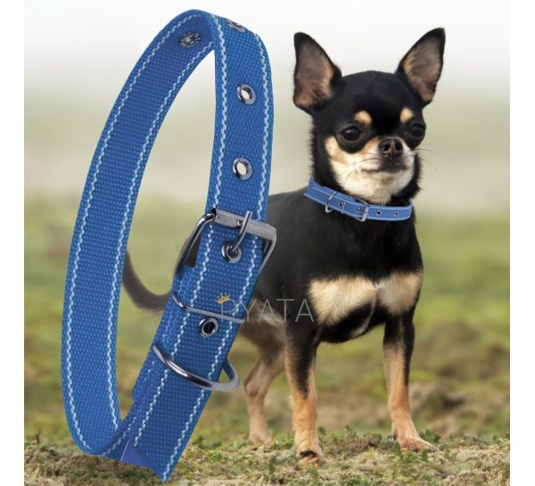 Капроновый одинарный ошейник для собак №126 20мм длина-36 см Синий (2021)
