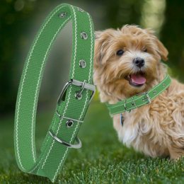 Капроновый одинарный ошейник для собак №127 25мм длина-44 см Зеленый (2021)