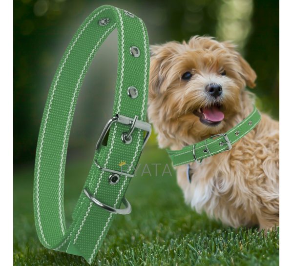 Капроновий одинарний нашийник для собак №127 25мм довжина-44 см Зелений (2021)